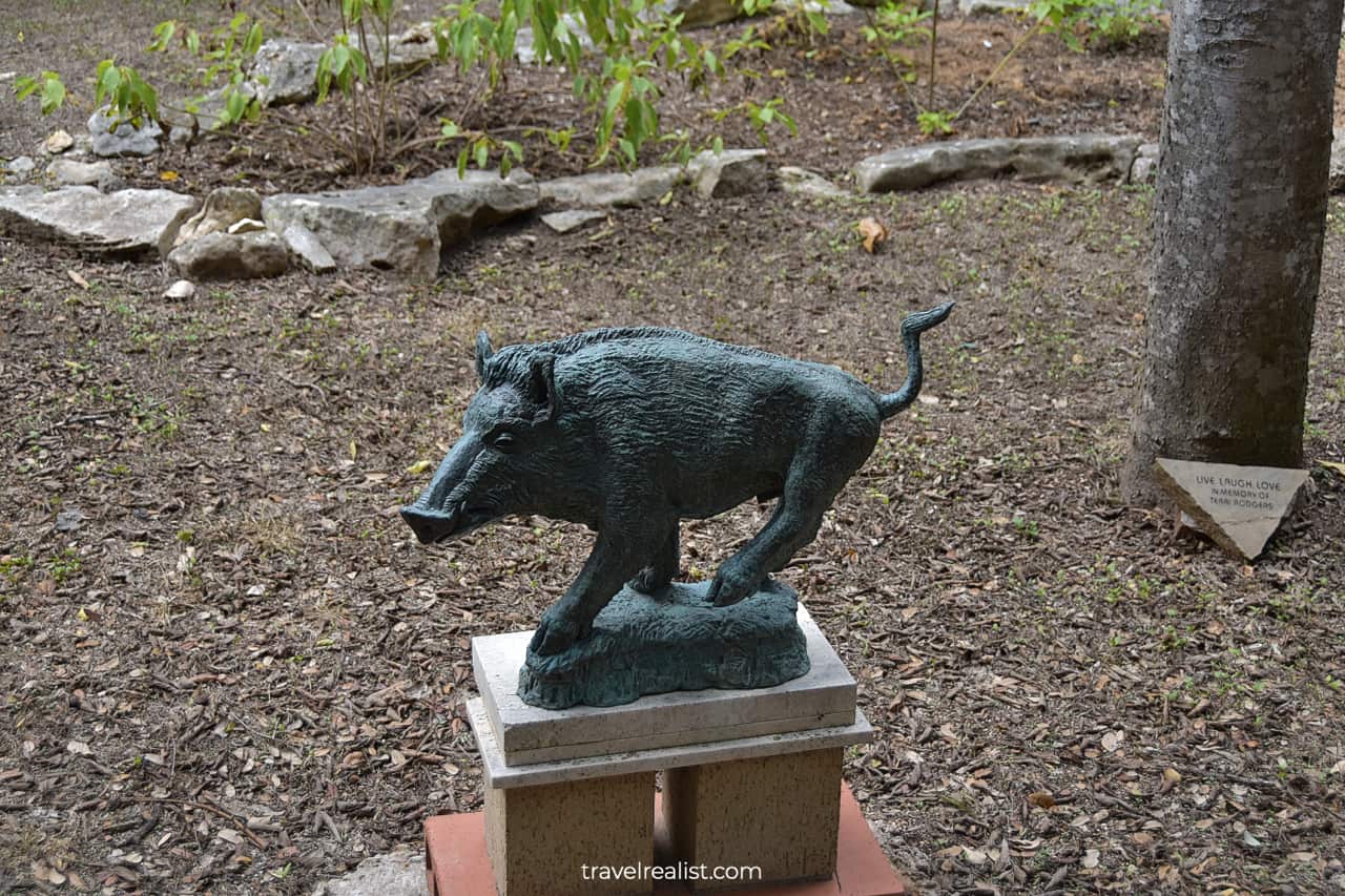 Wild boar sculpture in Umlauf Sculpture Garden & Museum in Austin, Texas