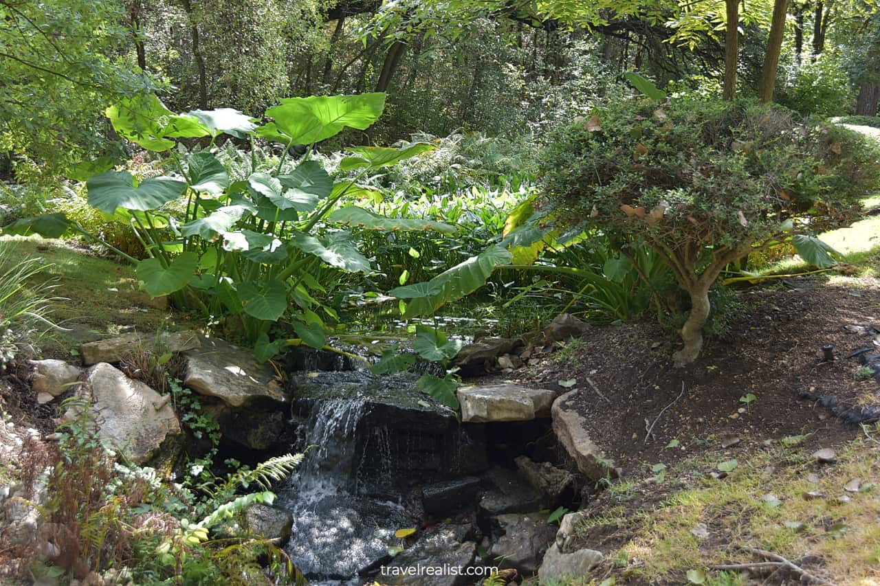 Creek in Umlauf Sculpture Garden & Museum in Austin, Texas