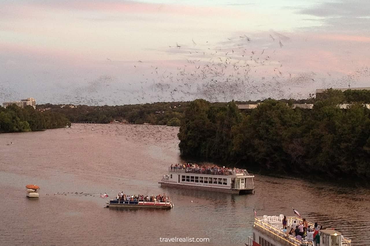 Bats flying from Congress Bridge in Austin, Texas, US