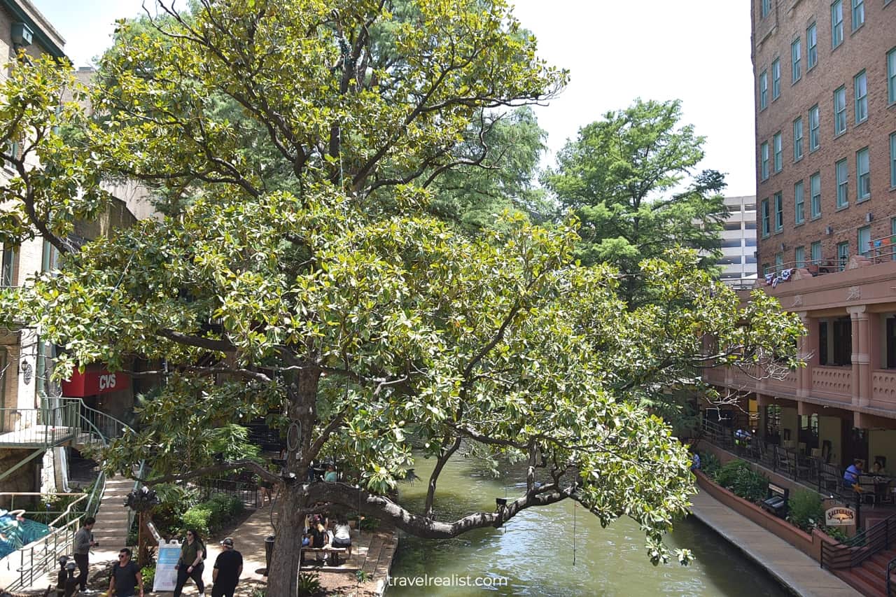 Views from San Antonio River Walk in San Antonio, Texas, US