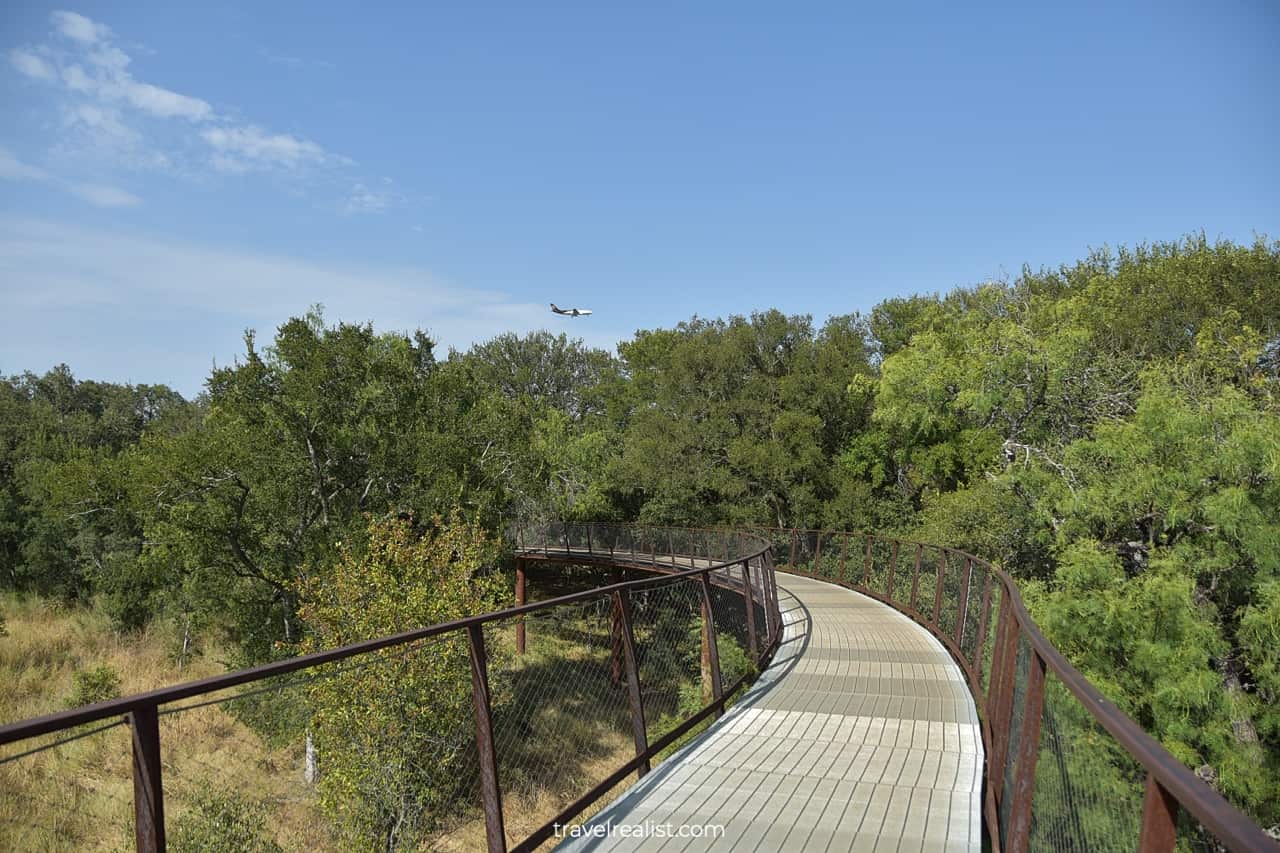 Plane landing at San Antonio International Airport from Phil Hardberger Park in Texas, US