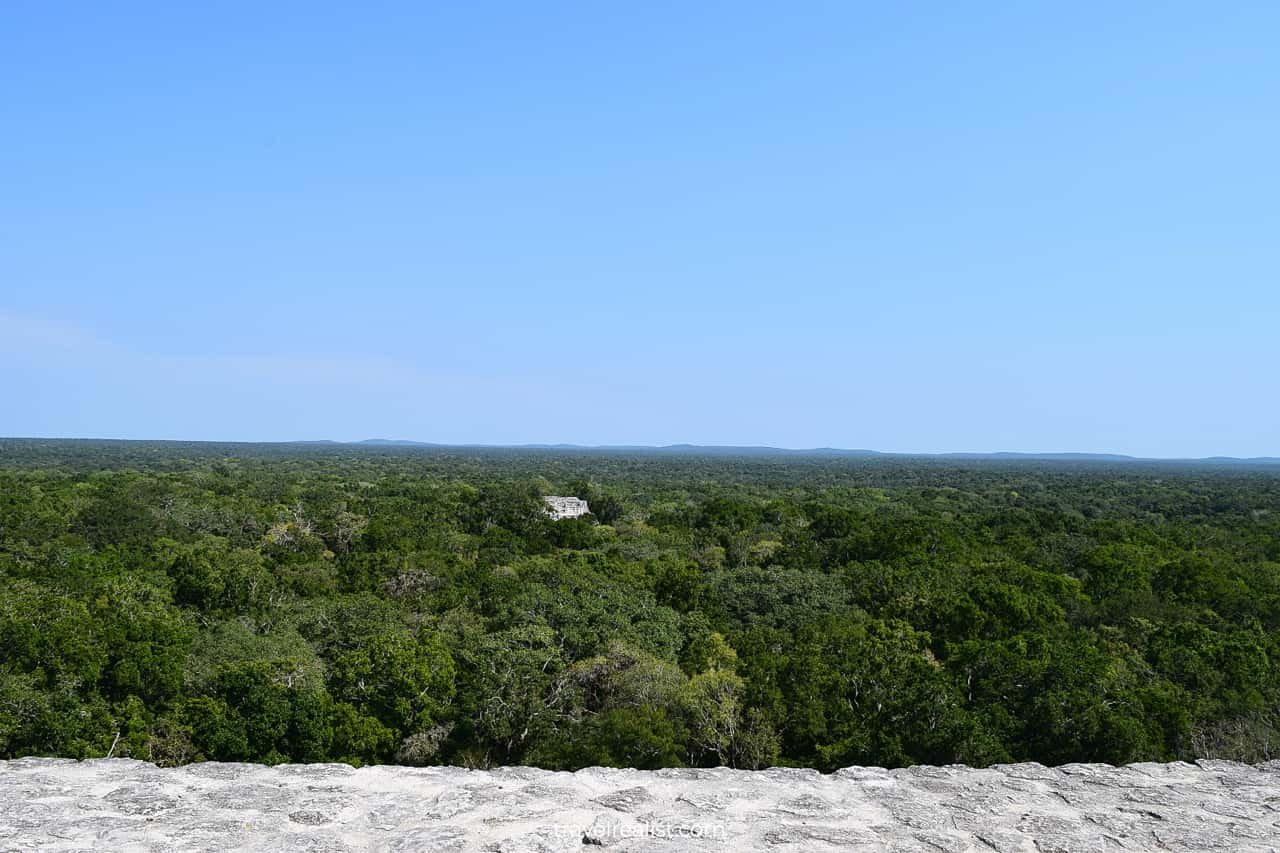 Jungle views from atop of Structure II in Calakmul, Mexico