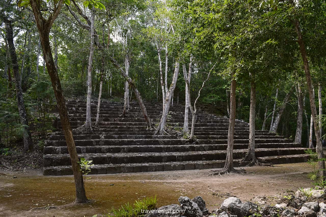 Trees growing from structures in Balamku, Mexico