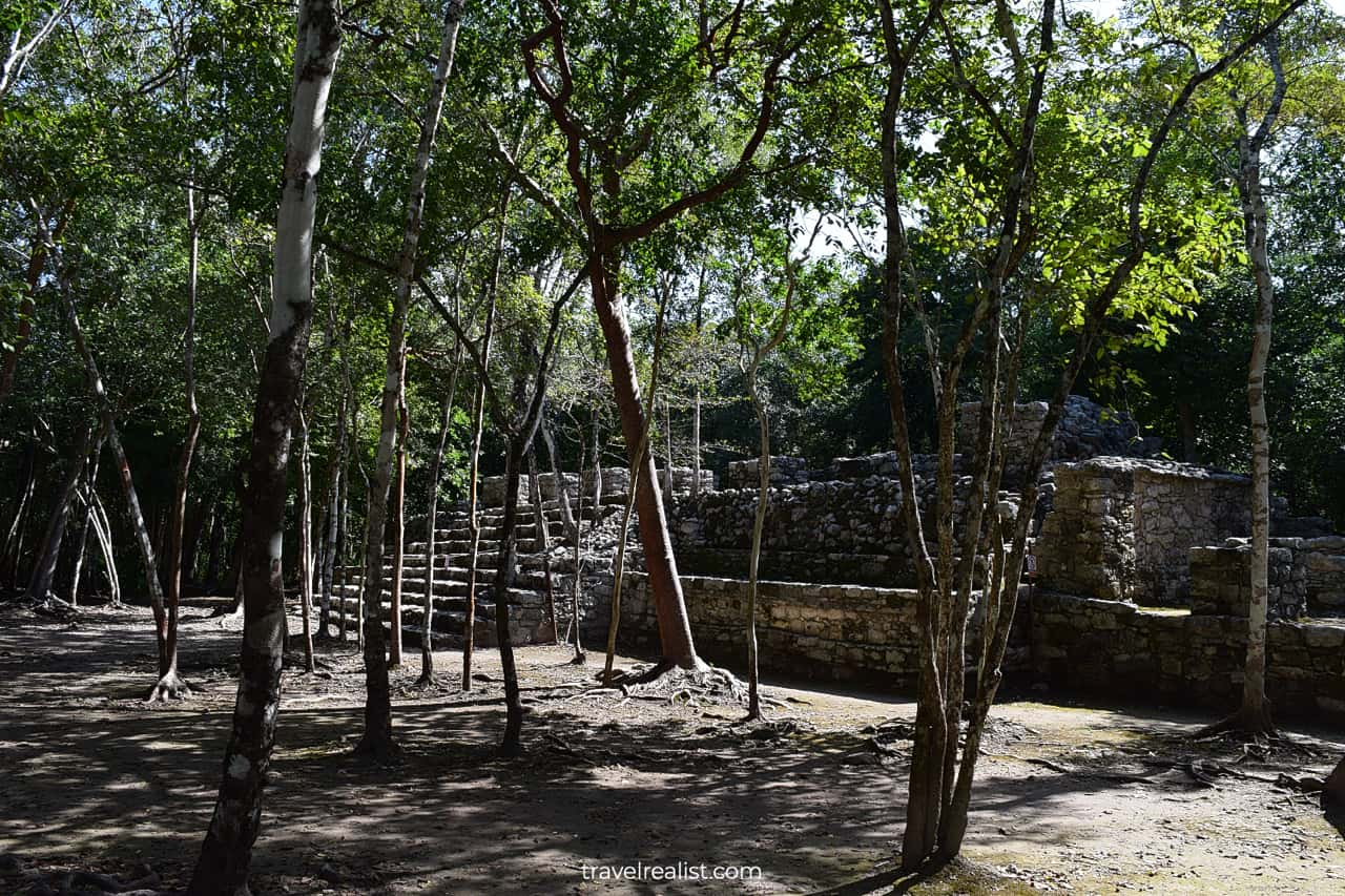 Structures and jungle in Coba, Mexico