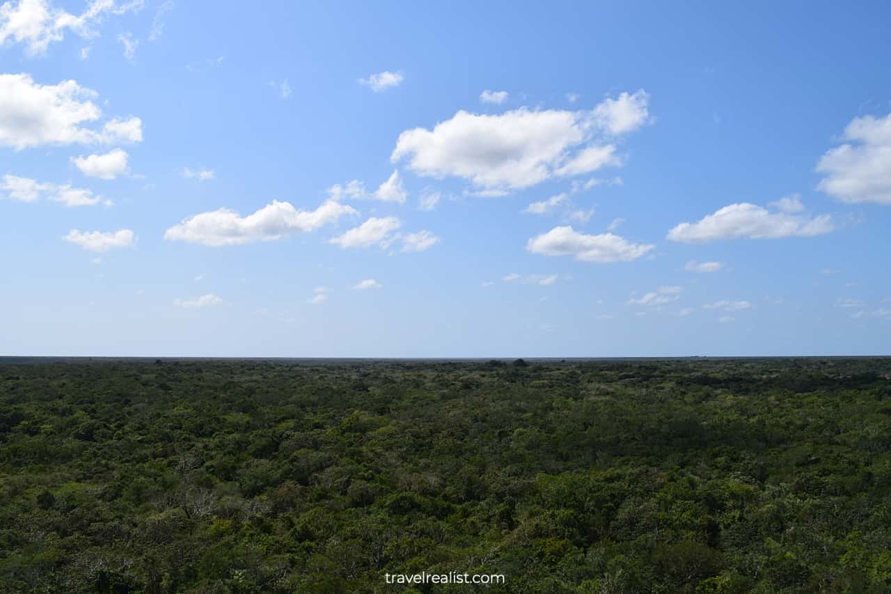 Views atop of Pyramid in Coba, Mexico