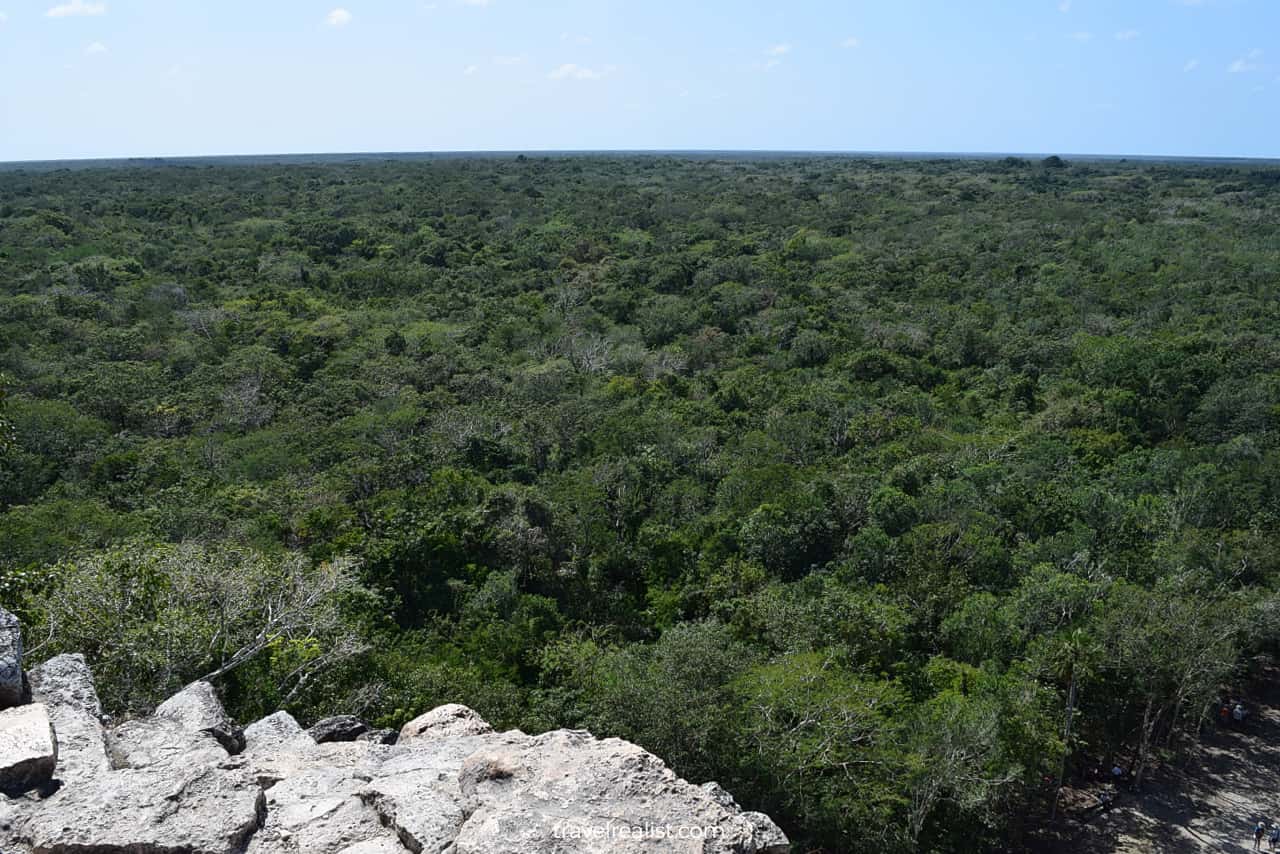 Views from the top of the pyramid in Coba, Mexico