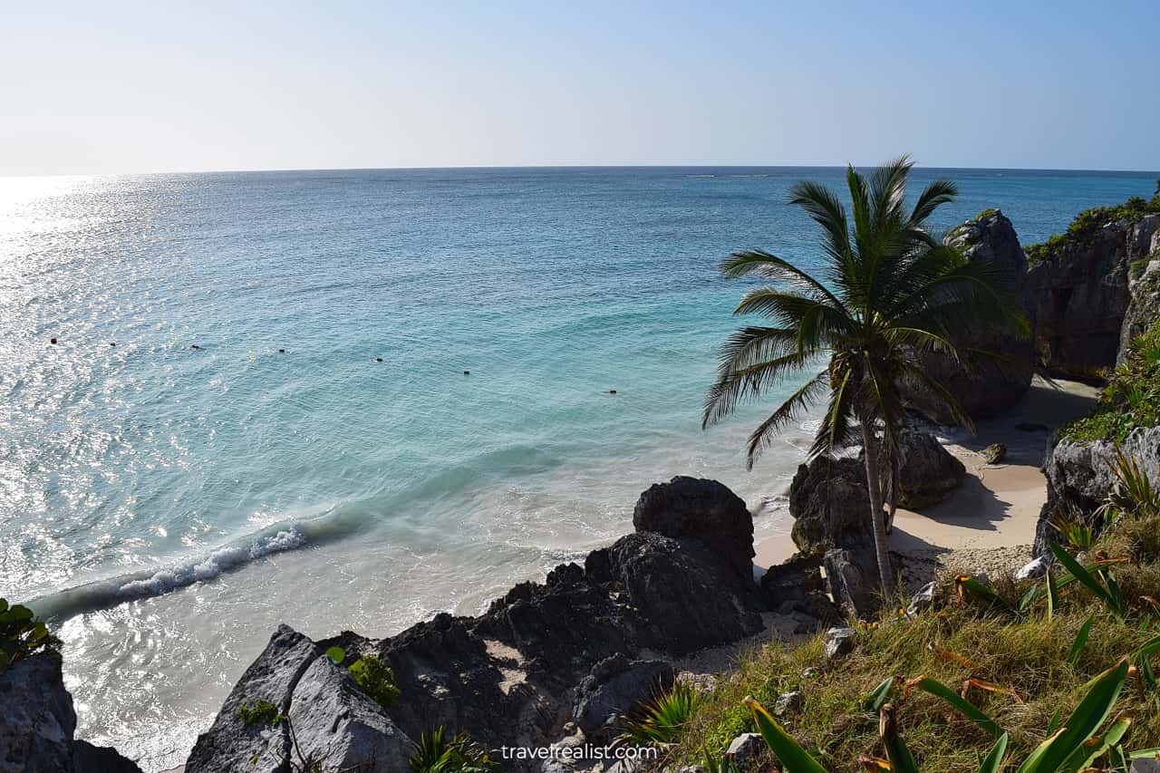 Beach and palm tree in Tulum, Mexico, one of the main spring break beach destinations.