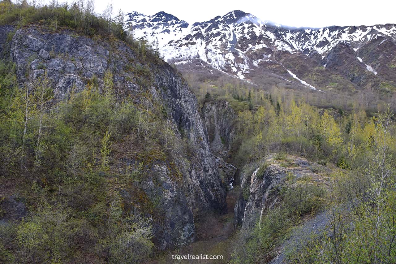 Area formerly covered by Exit Glacier in Kenai Fjords National Park, Alaska, US