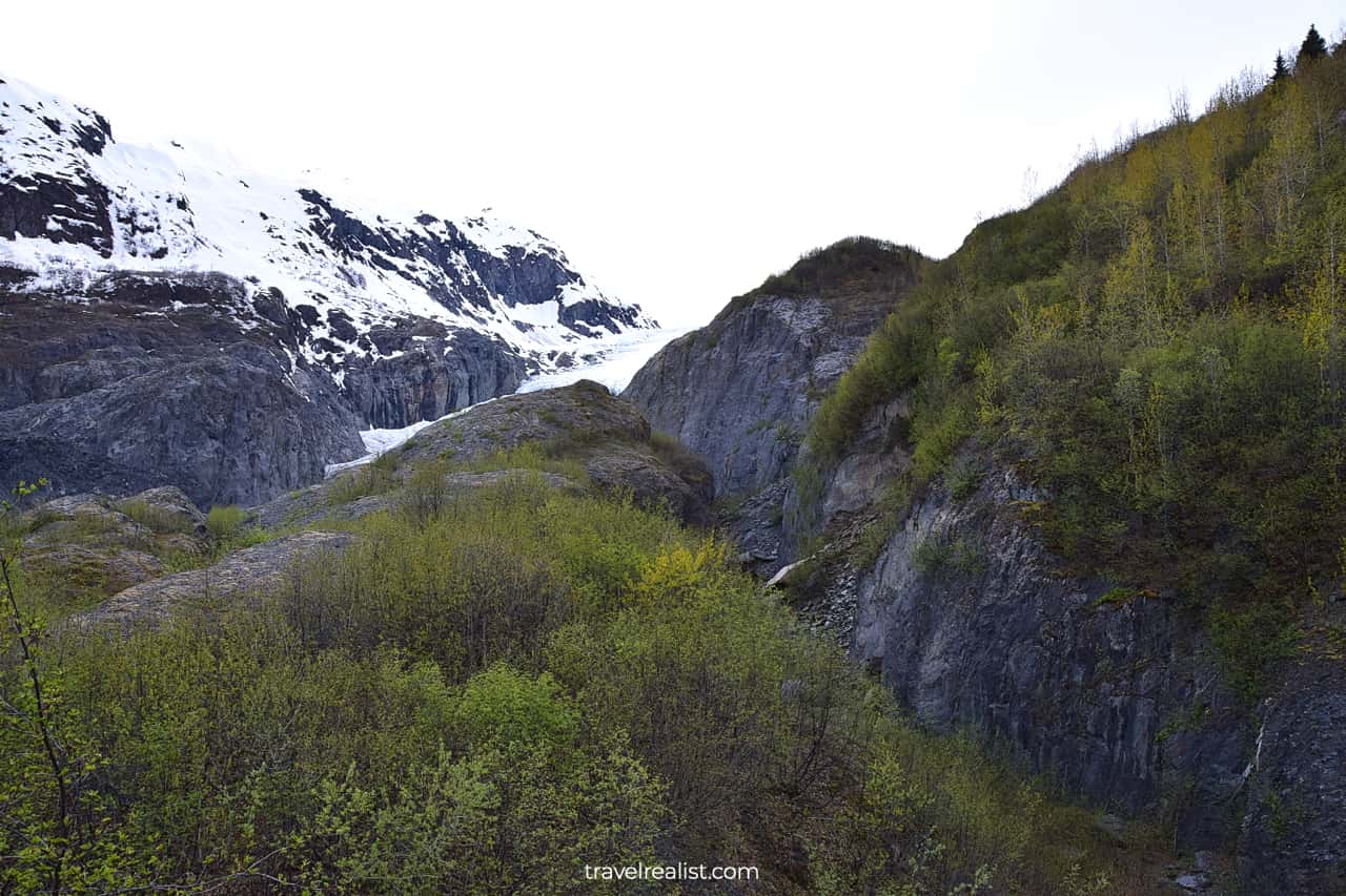 Obstructed glacier view in Kenai Fjords National Park, Alaska, US