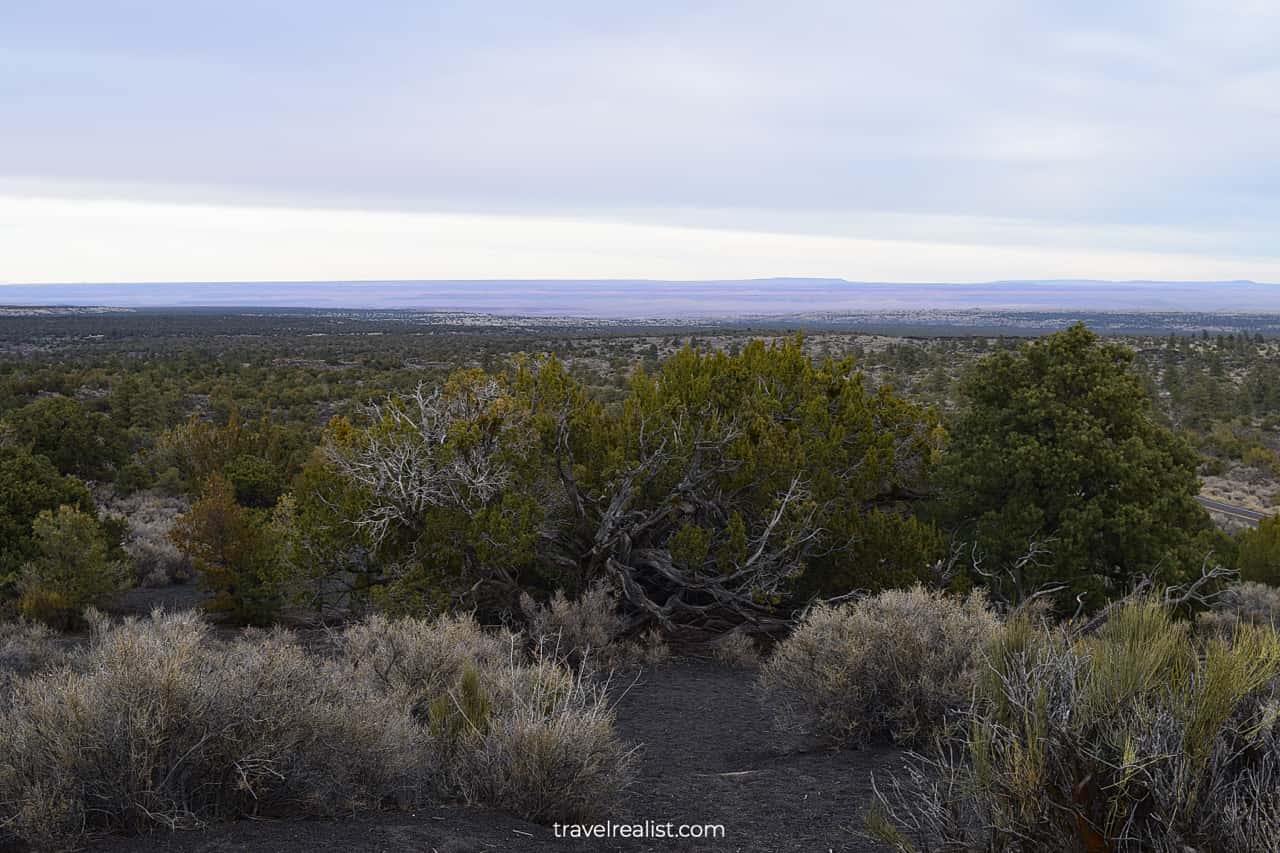 Change in scenery between Wupatki and Sunset Crater Volcano National Monuments