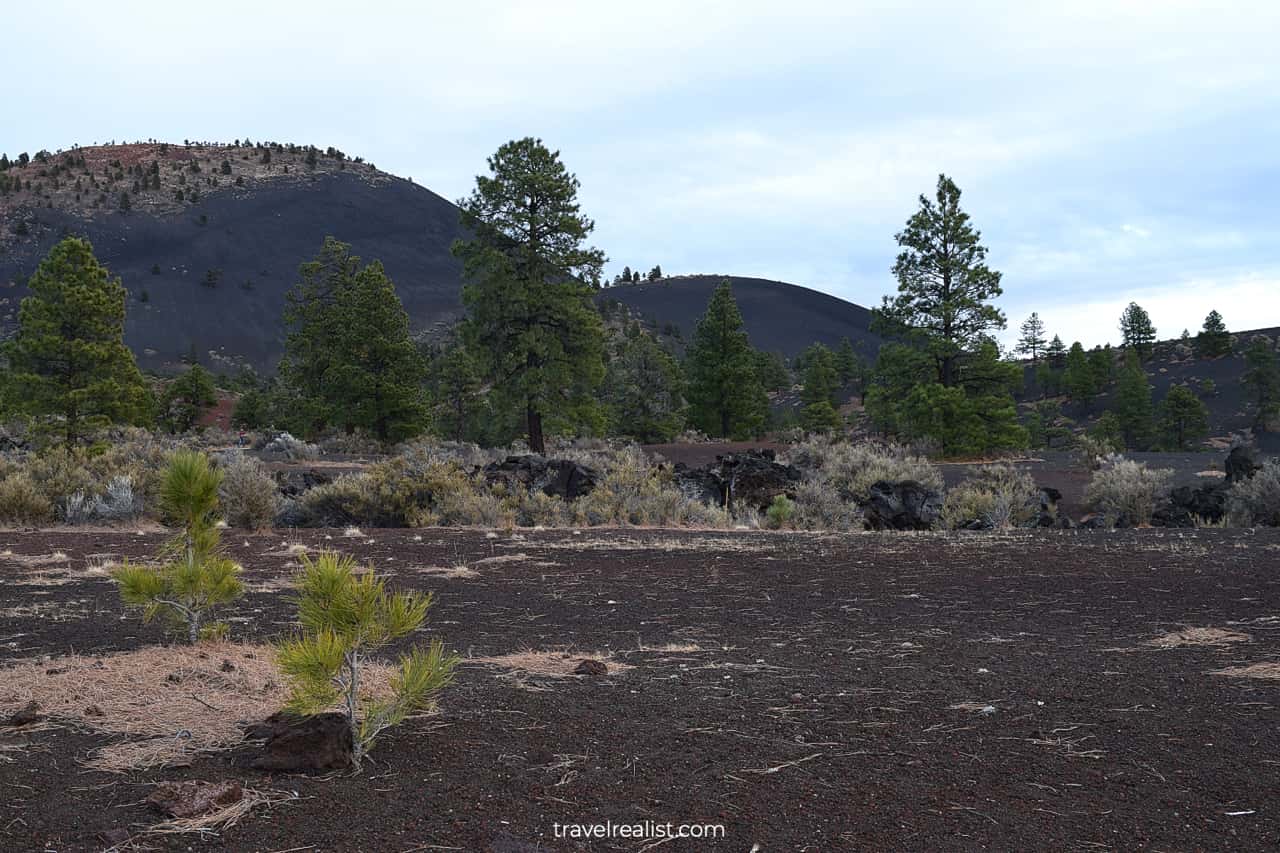 Blakc and red sand at Lenox Crater Trail in Sunset Crater Volcano National Monument, Arizona, US
