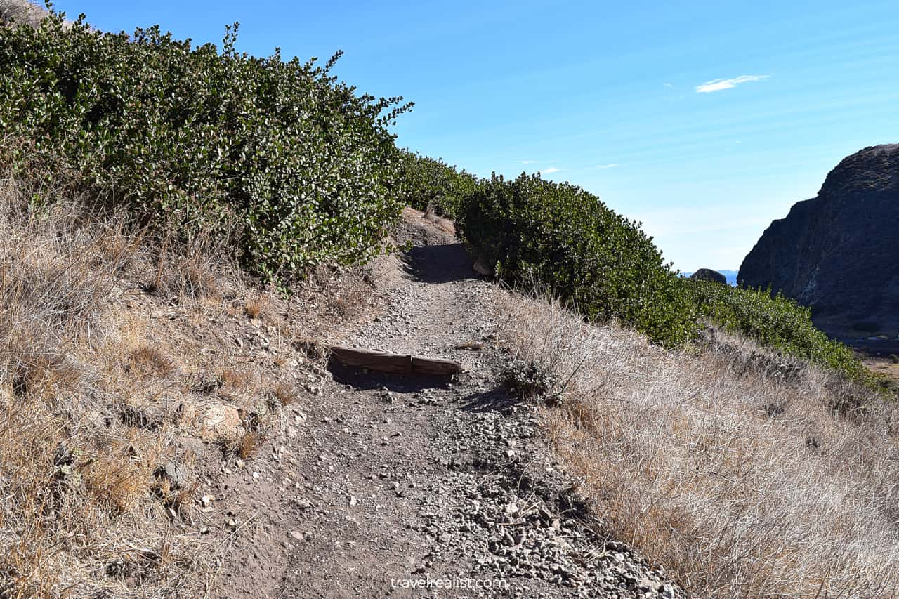 Cavern Point trail during dry season in Channel Islands National Park, California, US