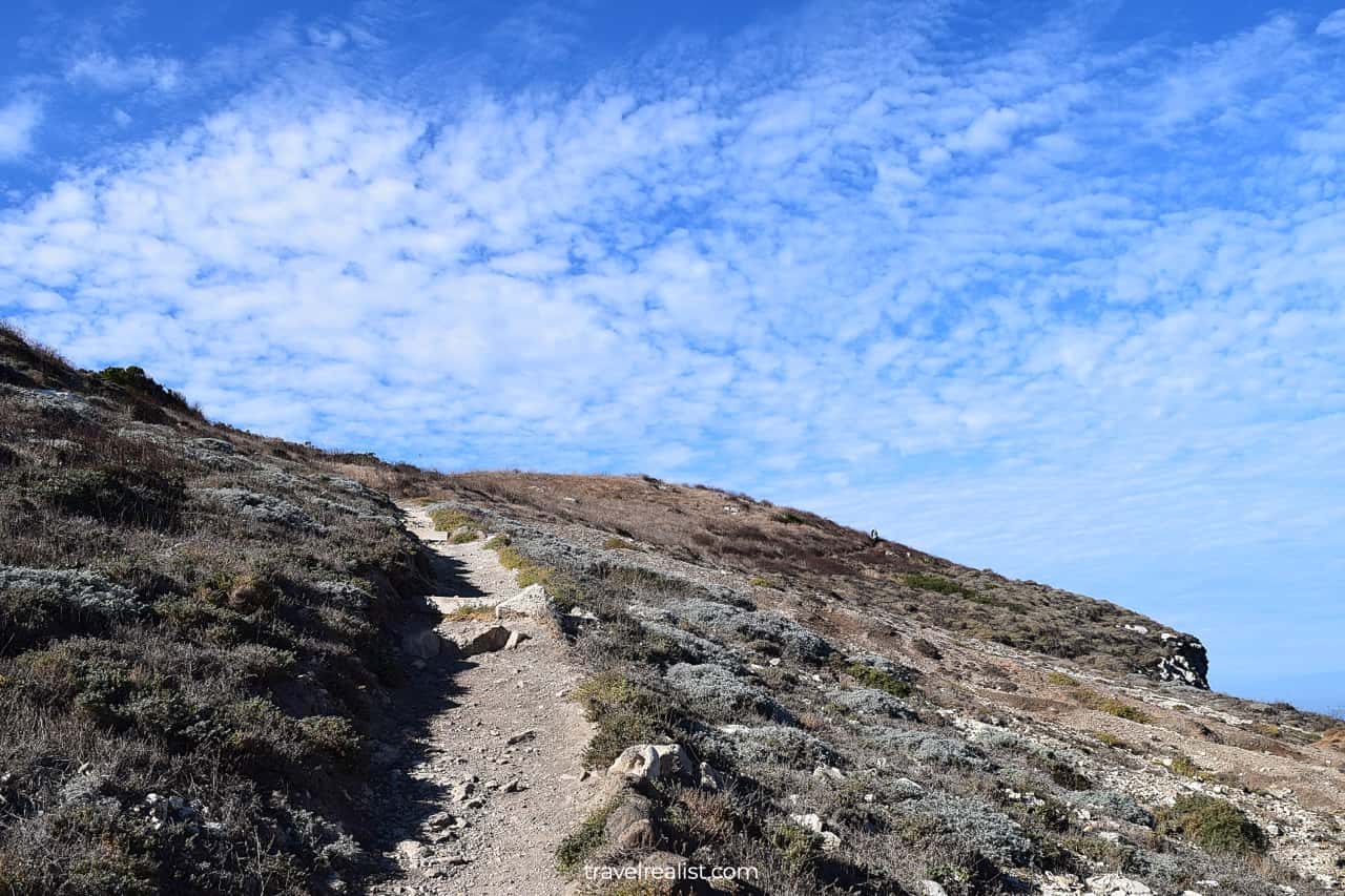 When grass is gone in Channel Islands National Park, California, US