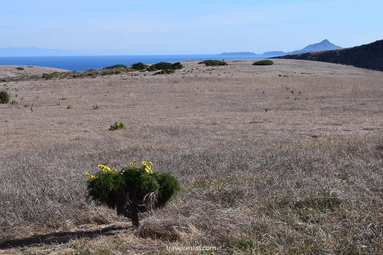 Almost desert in Channel Islands National Park, California, US