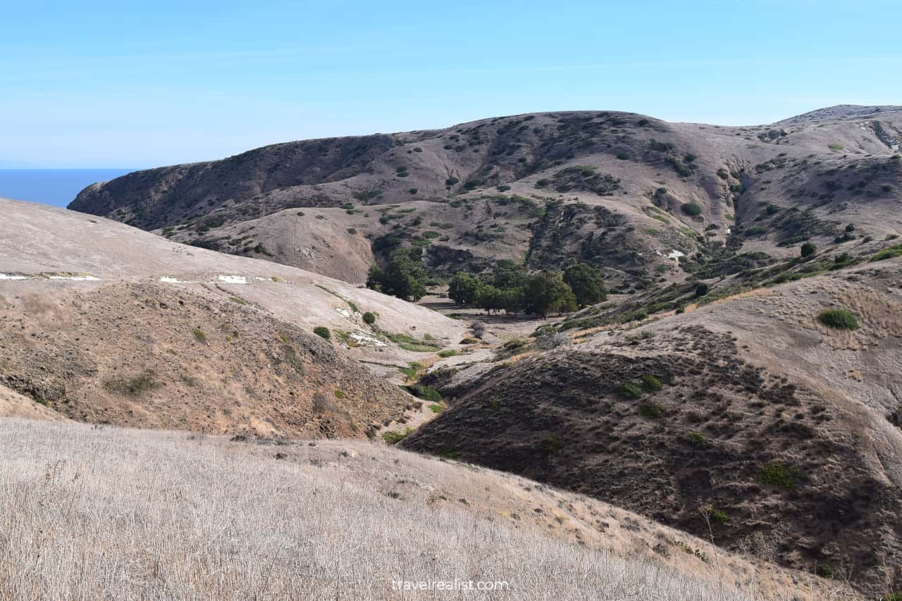 Towards Scorpion Canyon in dry season in Channel Islands National Park, California, US