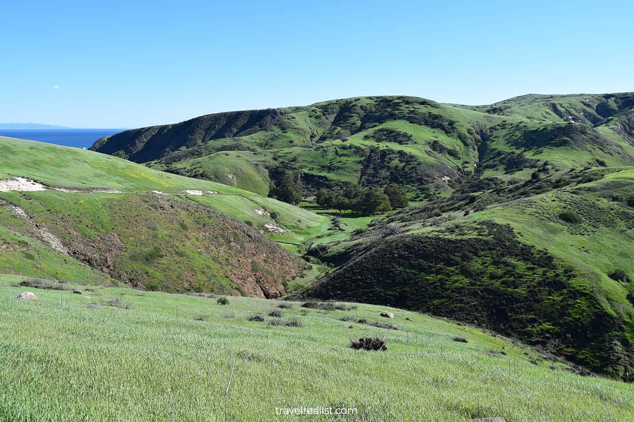 Towards Scorpion Canyon in Channel Islands National Park, California, US