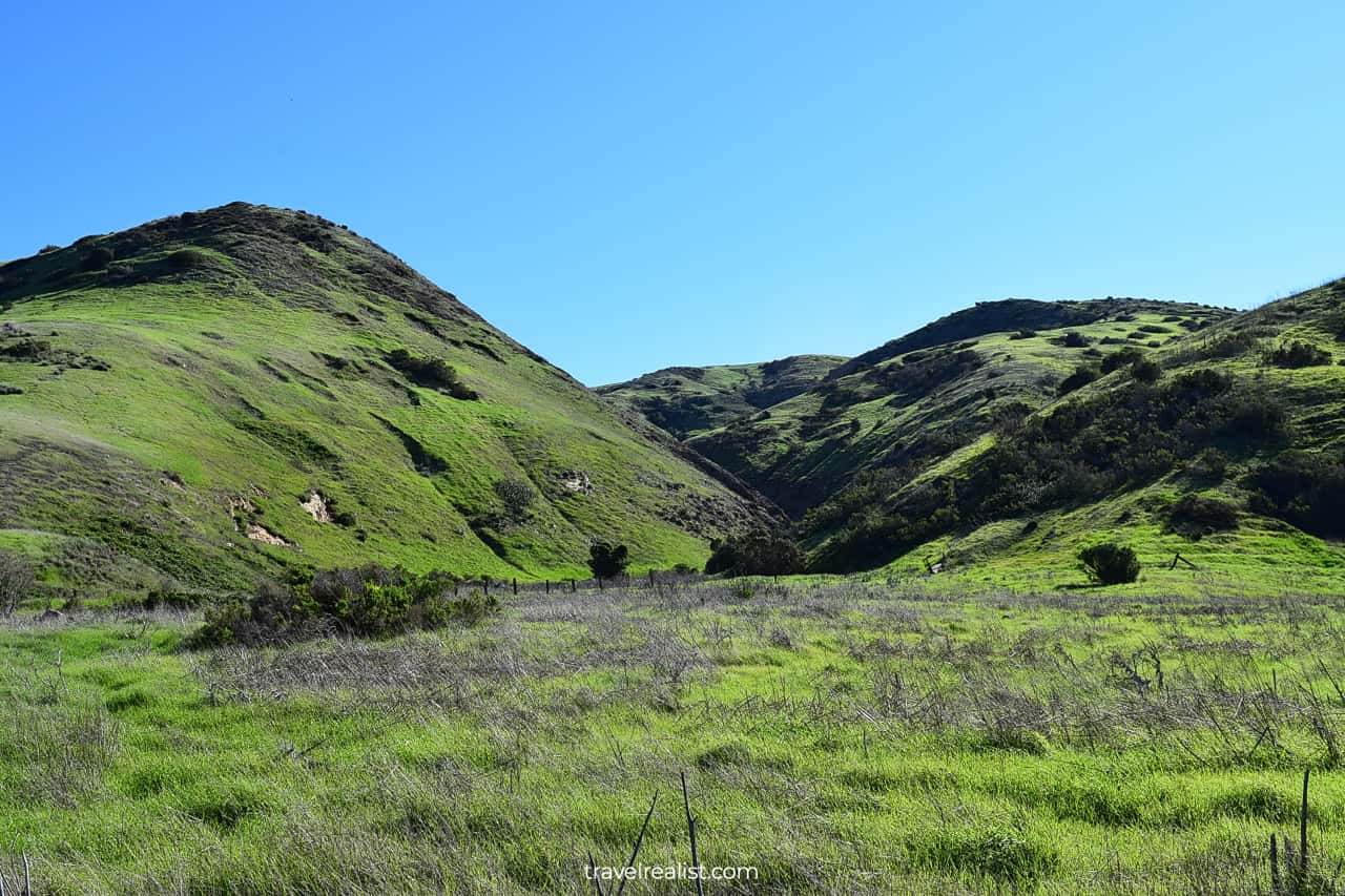 Scorpion Canyon Loop trail in Channel Islands National Park, California, US