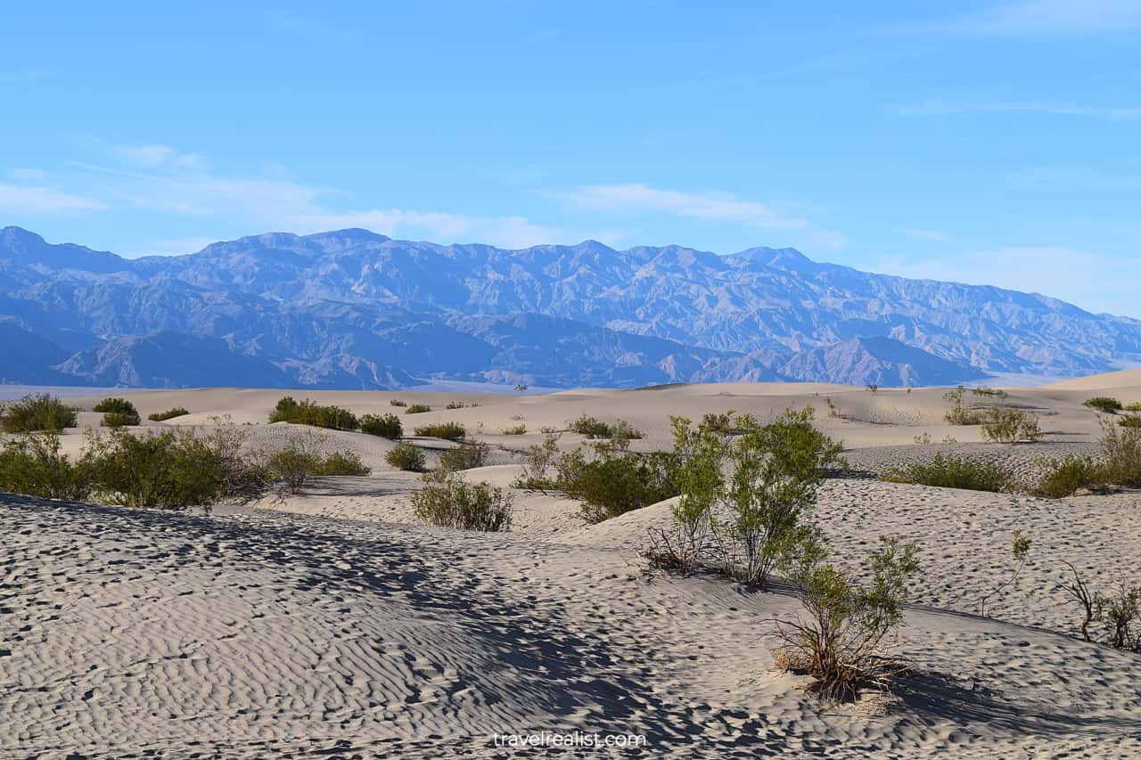 Mesquite Flats Sand Dunes in Death Valley National Park, California, US