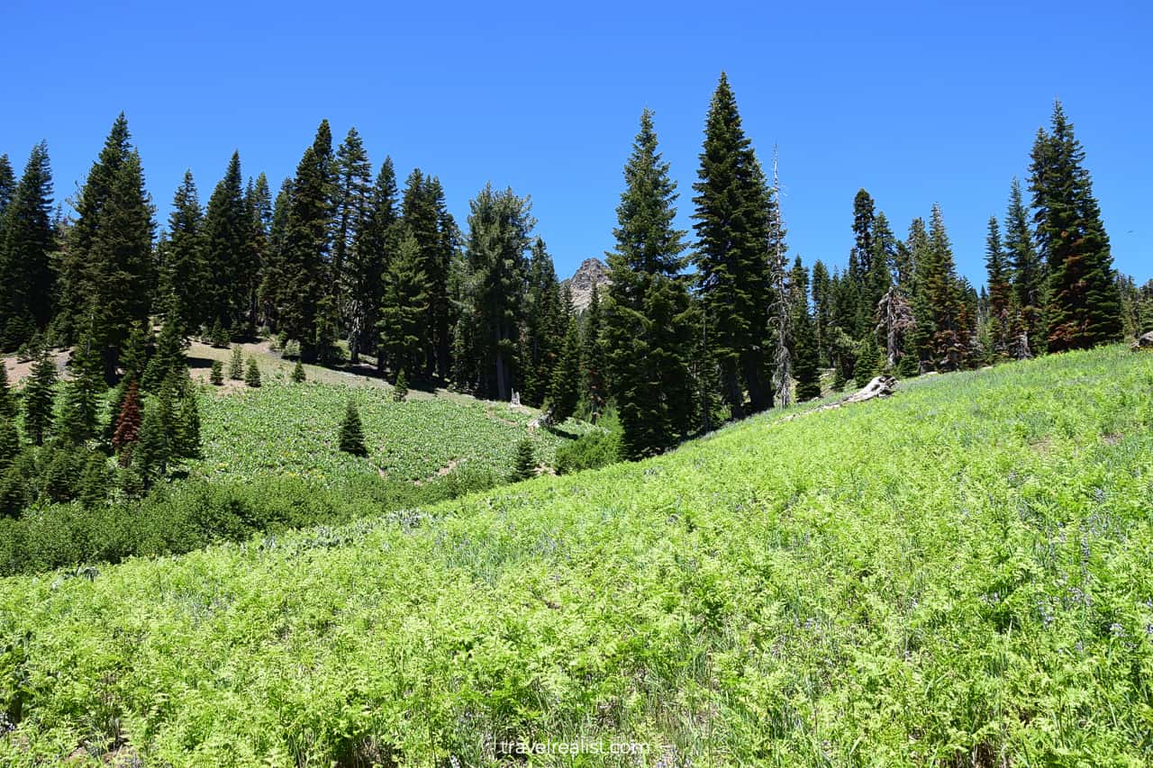 Ridge Lakes trailhead in Lassen Volcanic National Park, California, US