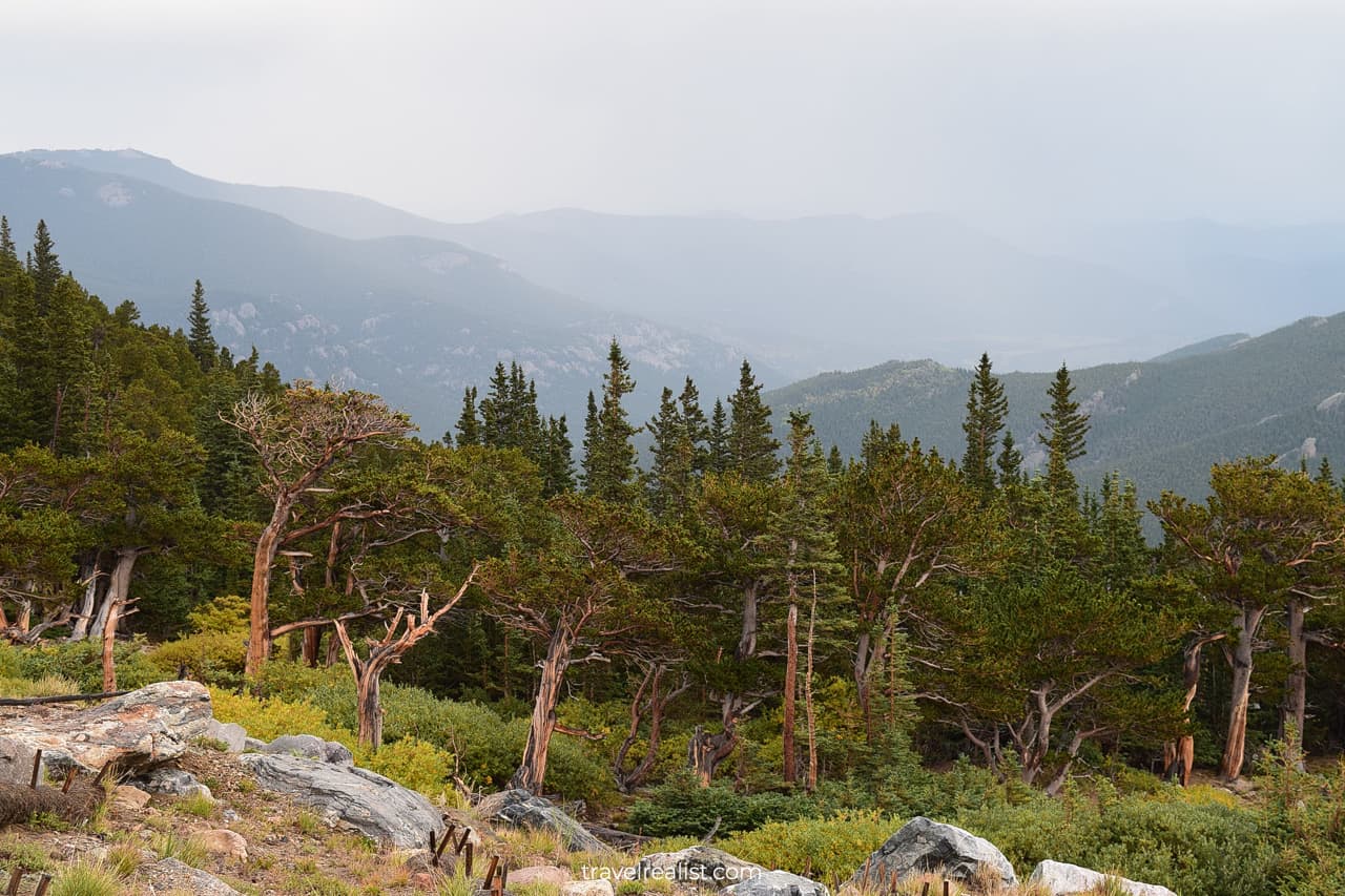 Forest Overlook on Mount Evans Scenic Byway in Colorado, US
