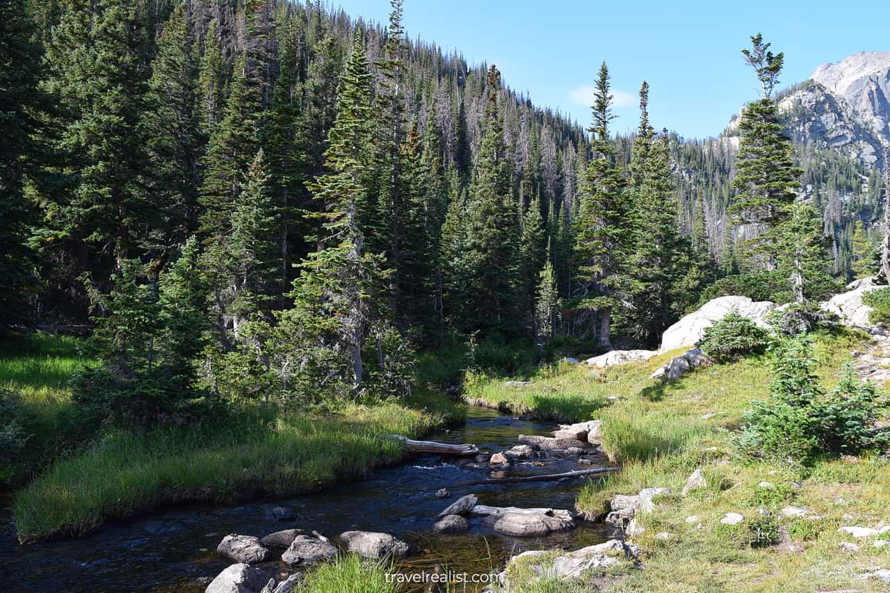 Forest and creek in in Rocky Mountain National Park, Colorado, US