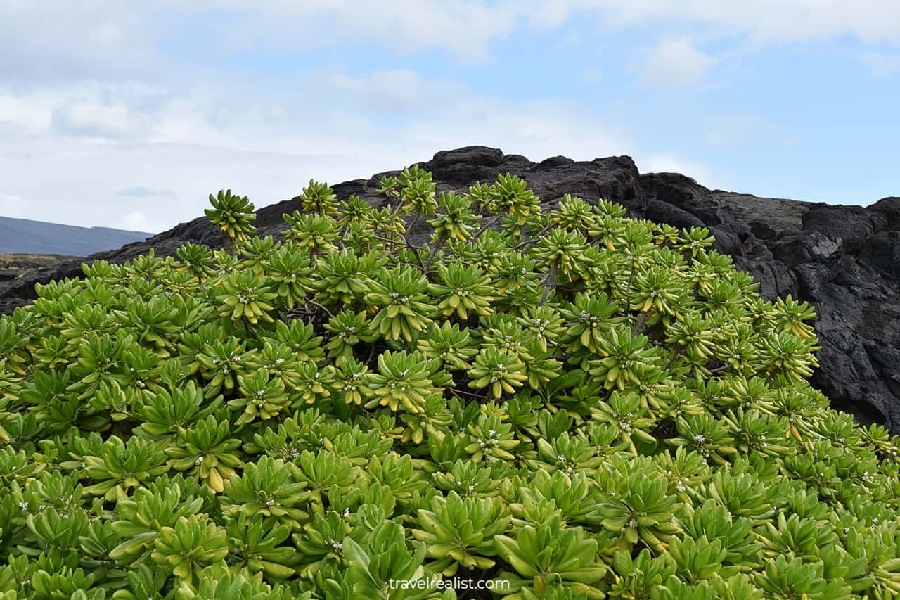 End of Chain of Craters Road in Hawaii Volcanoes National Park on Big Island in Hawaii, US