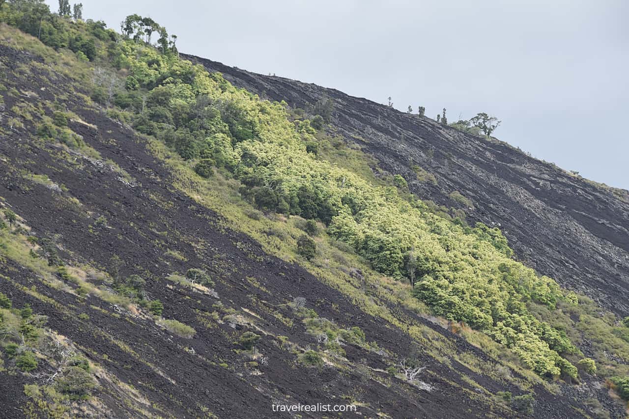 Lava covered slopes in Hawaii Volcanoes National Park on Big Island in Hawaii, US