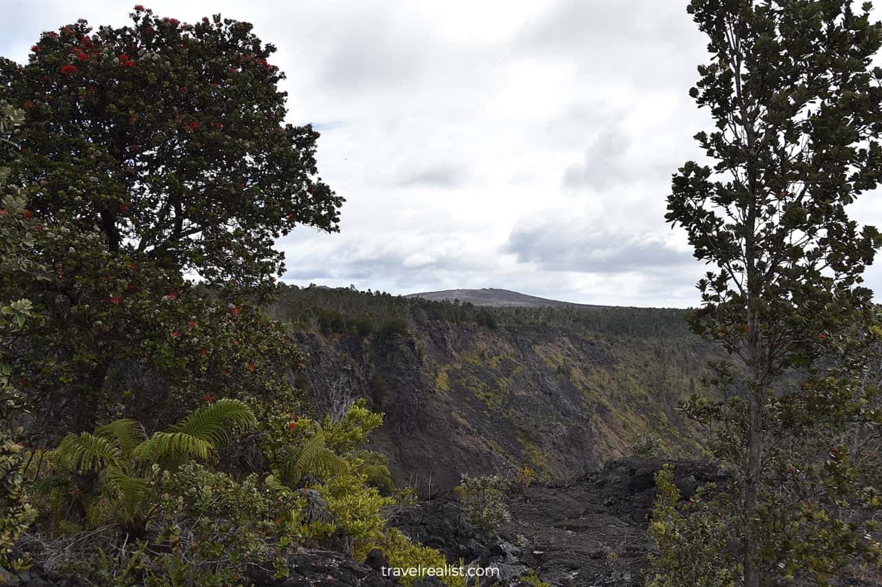 Pauahi Crater in Hawaii Volcanoes National Park on Big Island in Hawaii, US