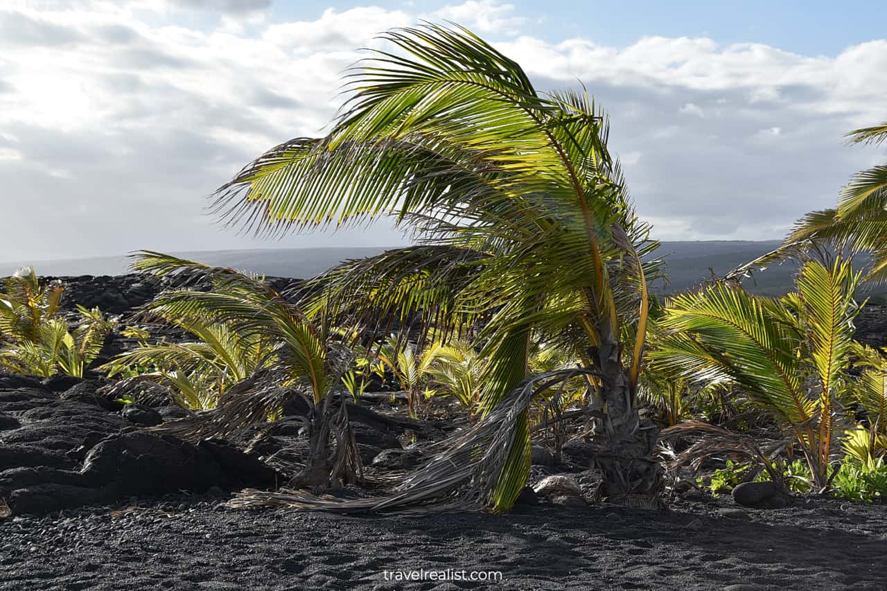 Kaimū Beach Park near Hilo on Big Island in Hawaii, US