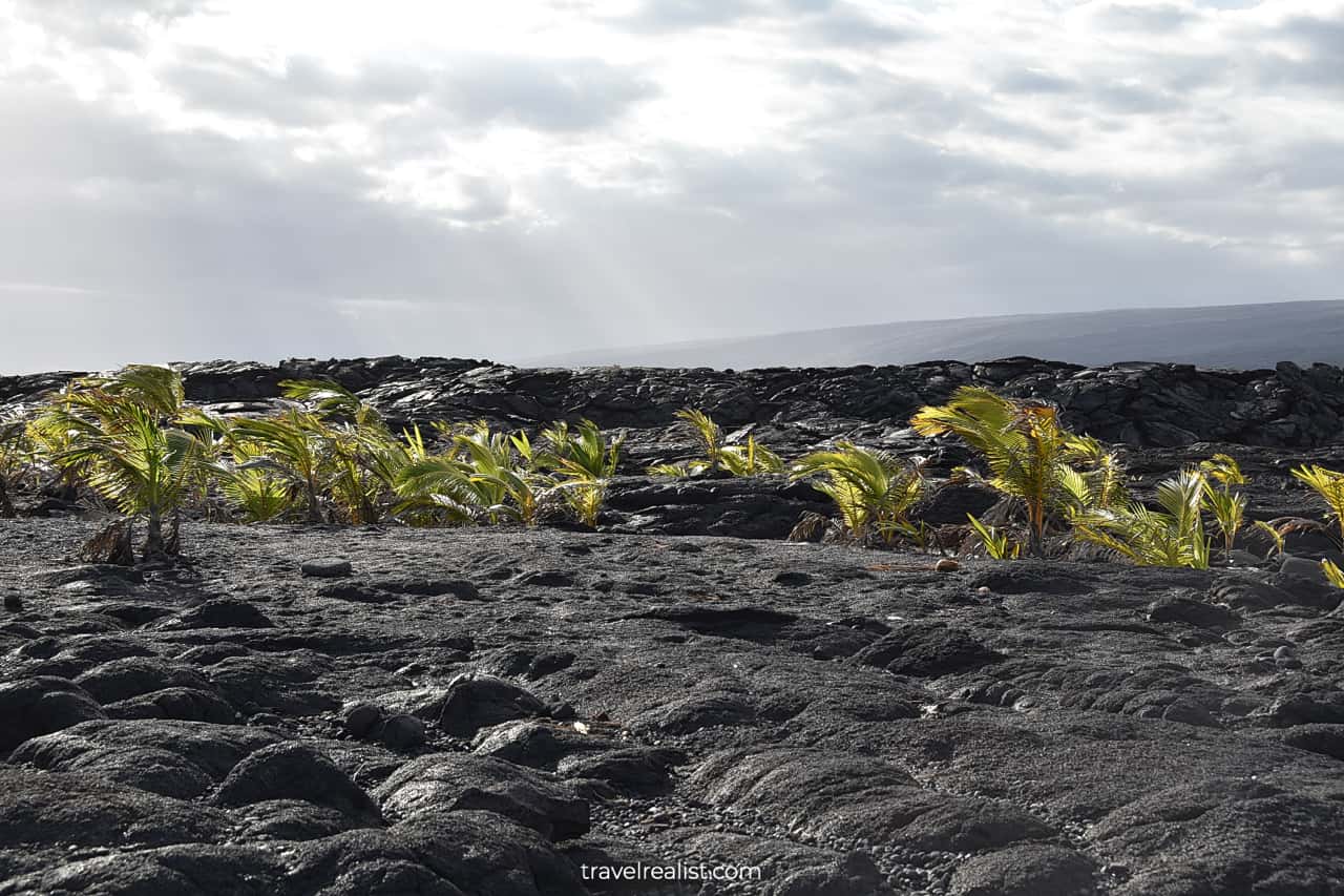 Kaimū Beach Park near Hilo on Big Island in Hawaii, US