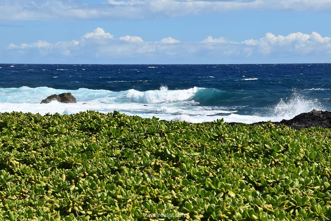 Breaking waves near Papakōlea Green Sand Beach on Big Island in Hawaii, US