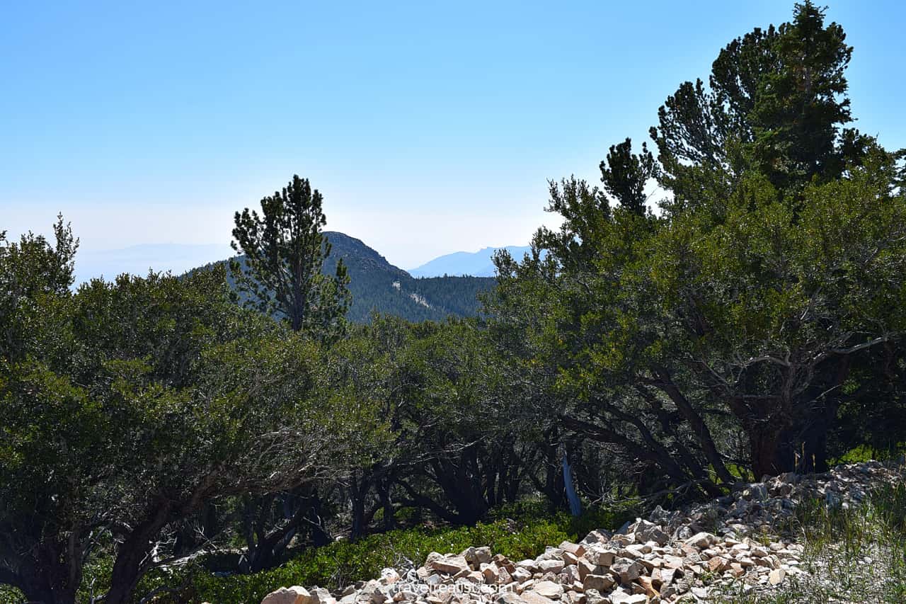 Wheeler Peak Overlook in Great Basin National Park, Nevada, US