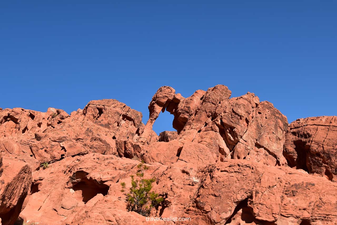 Elephant Rock views in Valley of Fire State Park, Nevada, US