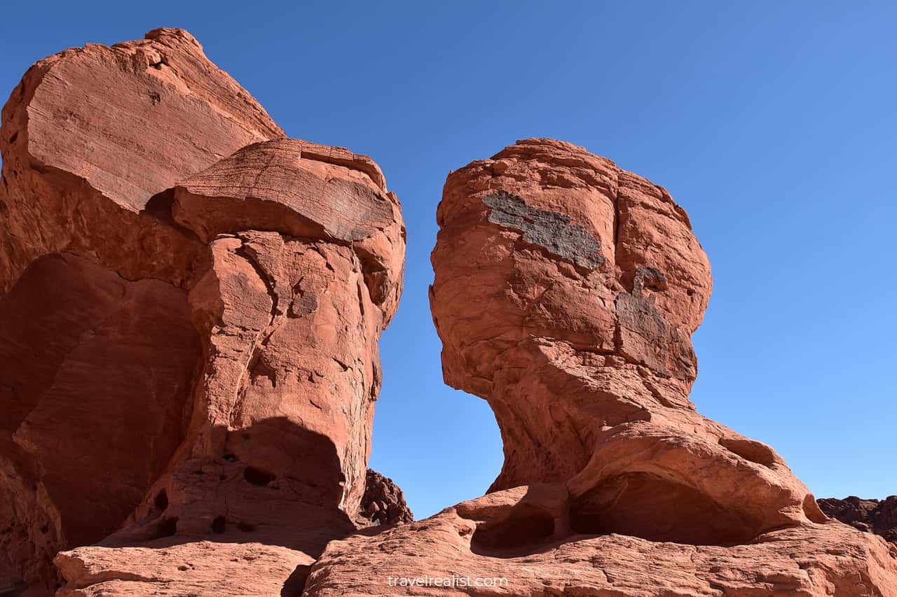 Head at Seven Sisters Picnic Area in Valley of Fire State Park, Nevada, US