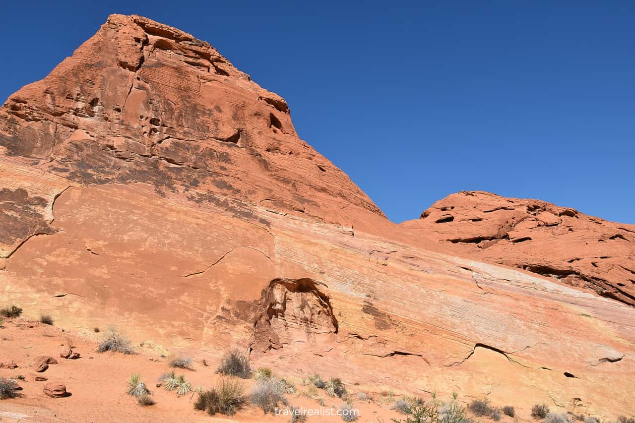 Rainbow rock at White Domes Loop in Valley of Fire State Park, Nevada, US