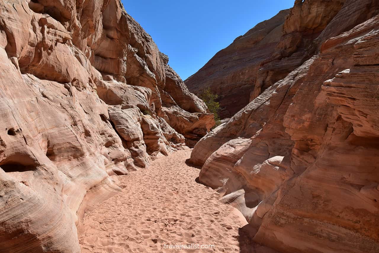 White Domes Slot Canyon exit in Valley of Fire State Park, Nevada, US