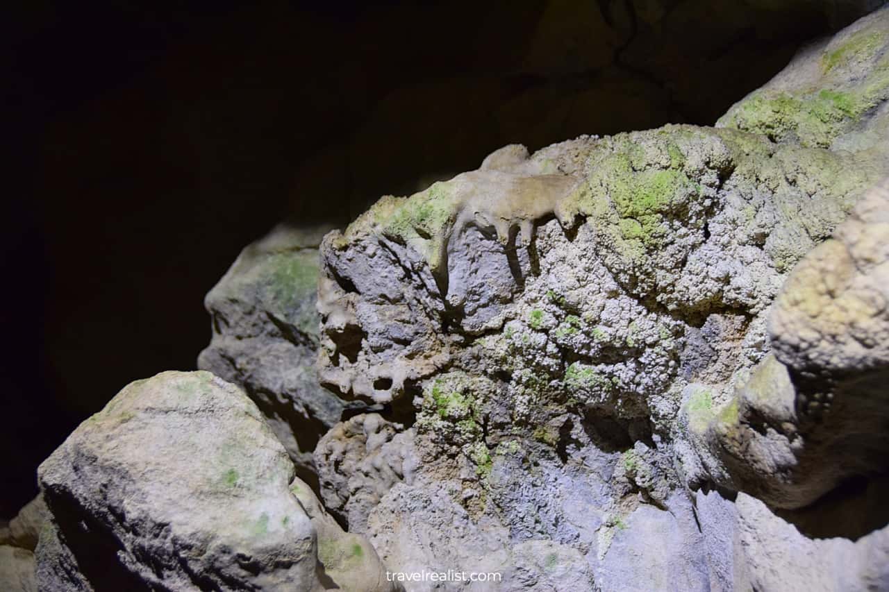 Close-up view of cave formations in Oregon Caves National Monument, Oregon, US