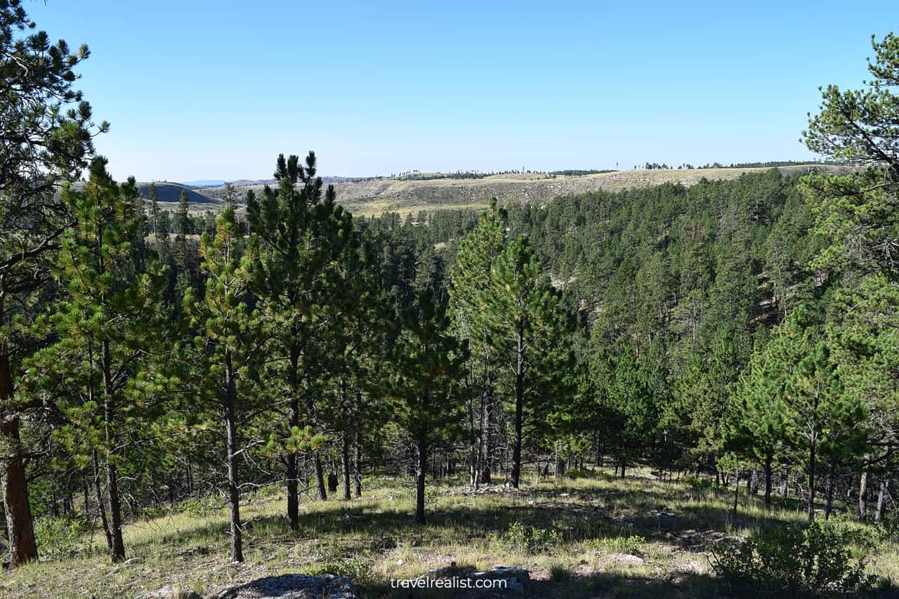 Pines and hills outside of visitor center at Jewel Cave National Monument, South Dakota, US