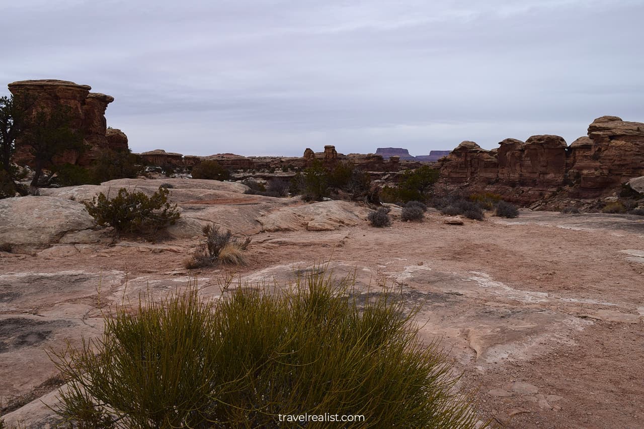 Big Spring Canyon overlook in Canyonlands National Park, Utah, US