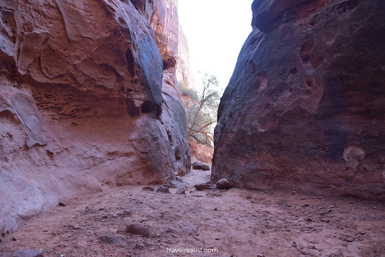 Jenny's Slot Canyon in Snow Canyon State Park, Utah, US