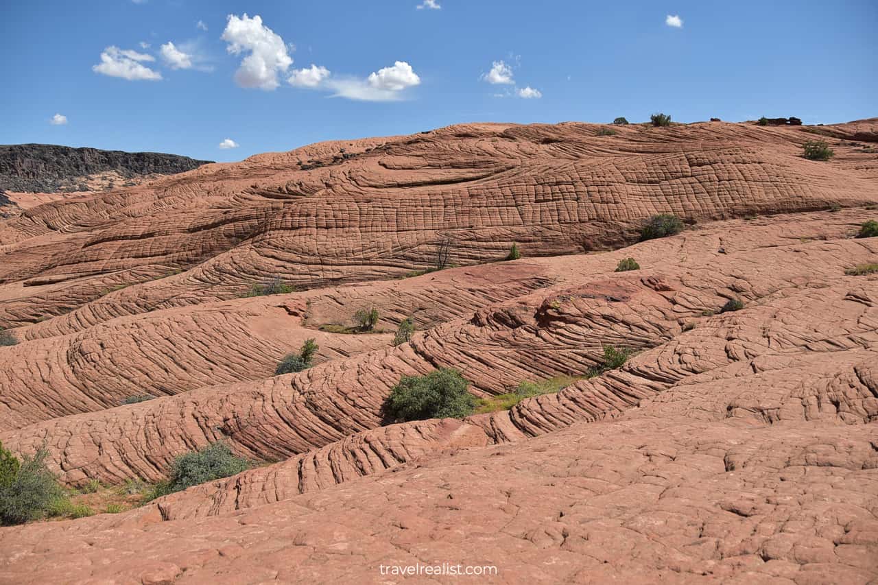 Petrified Dunes Viewpoint in Snow Canyon State Park, Utah, US