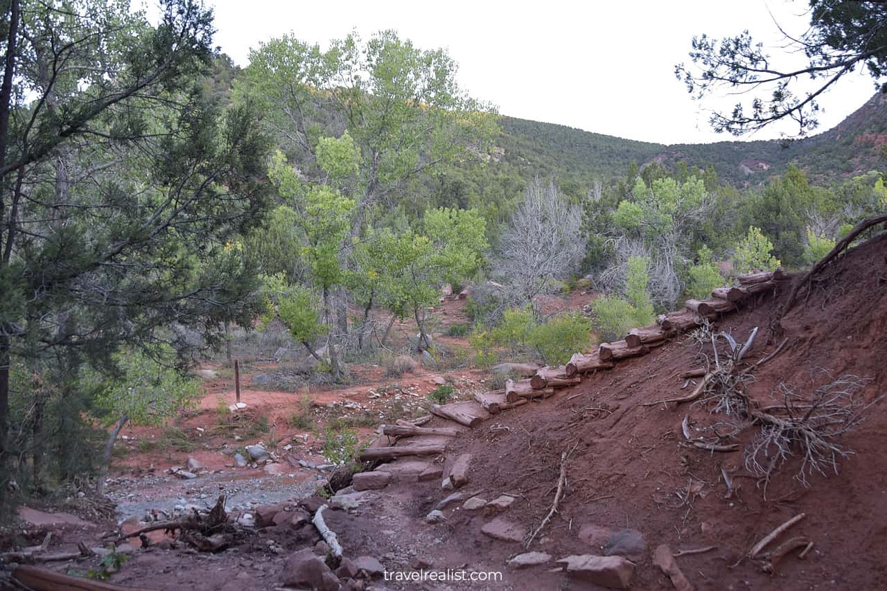 Wooden steps on Taylor Creek Trail moments from trailhead in Zion National Park, Utah, US