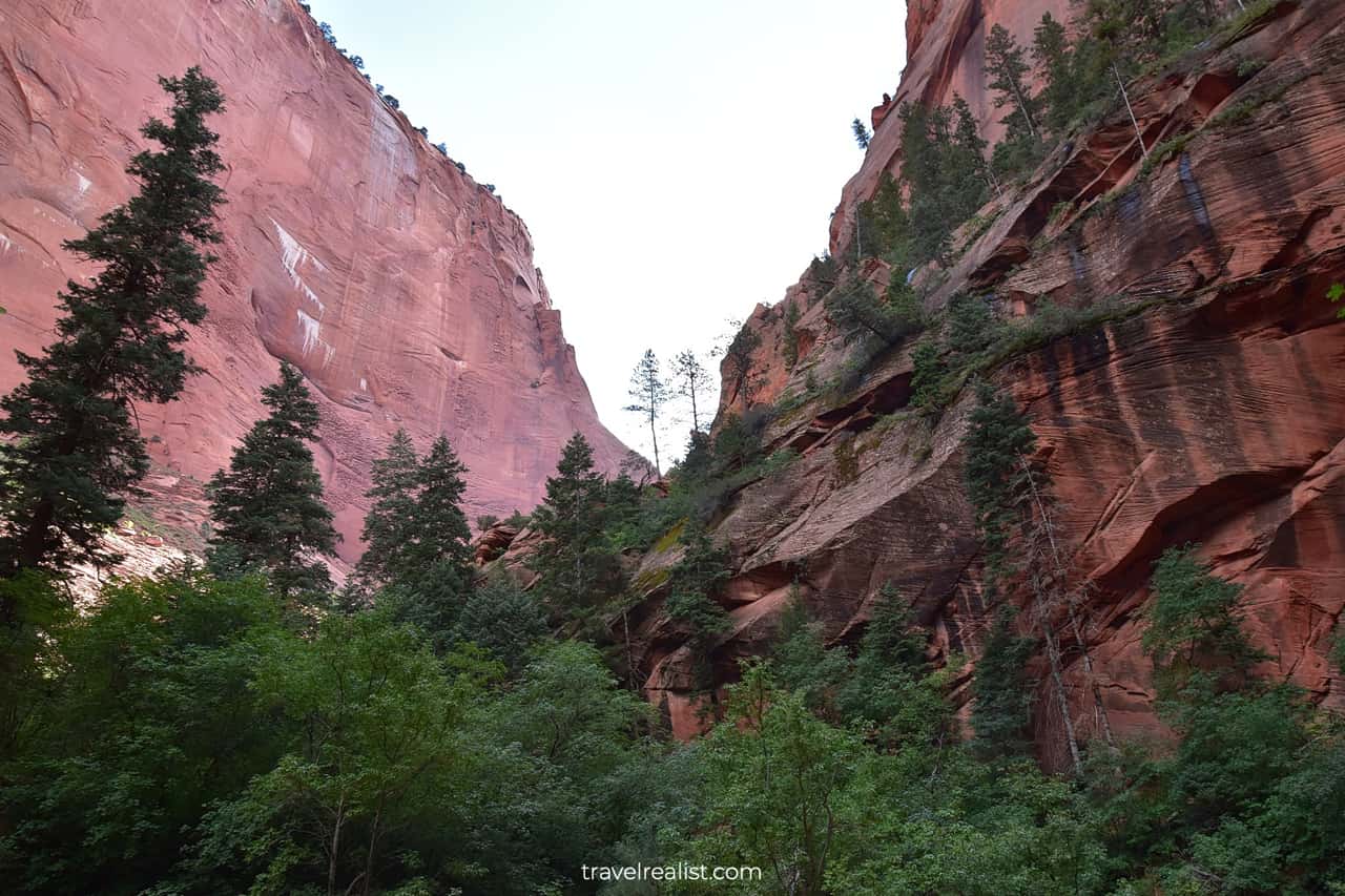 Views from Double Arch Alcove at end of Taylor Creek Trail in Zion National Park, Utah, US