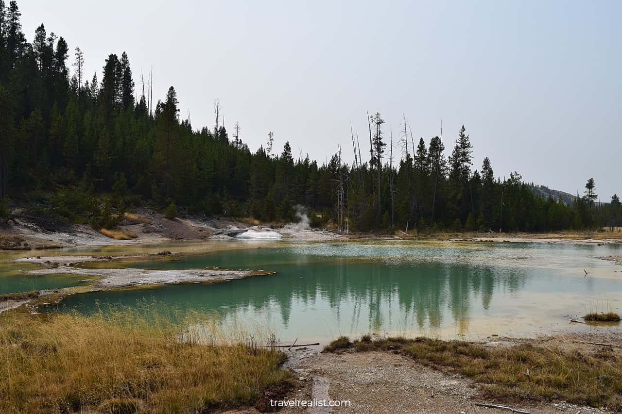 Hot Springs and Lake at Norris Geyser Basin in Yellowstone National Park, Wyoming, US