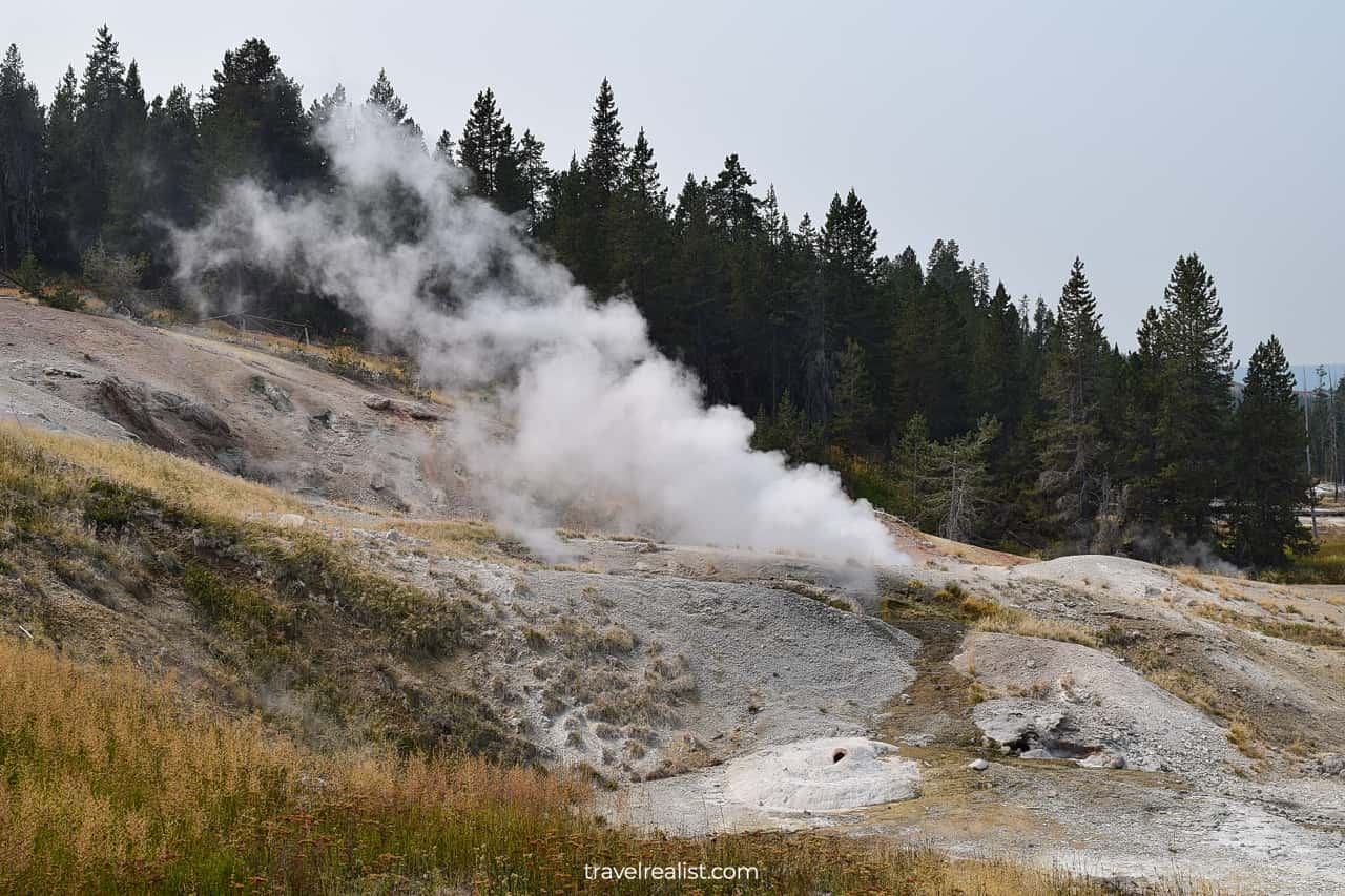 Geyser releasing steam at Norris Geyser Basin in Yellowstone National Park, Wyoming, US