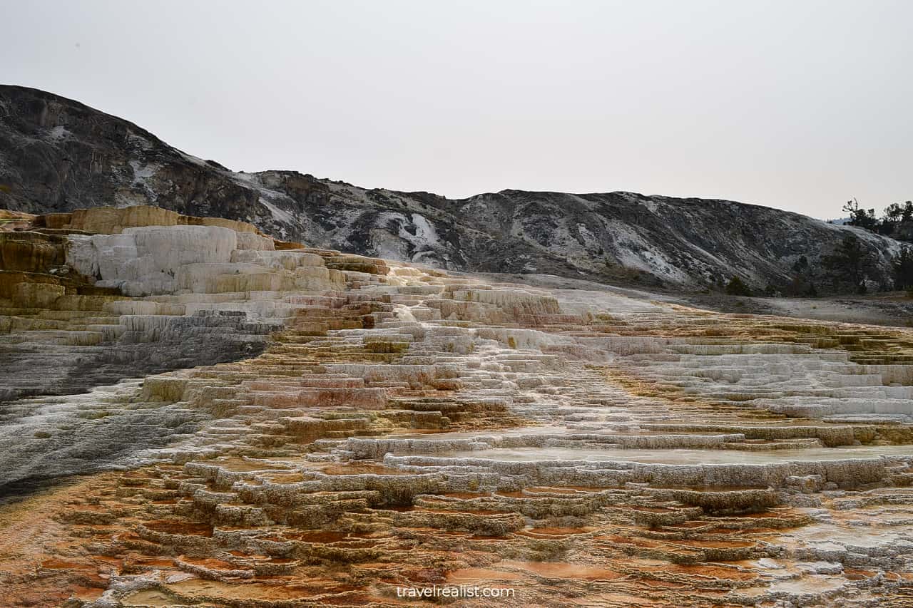 Upper Terraces at Mammoth Hot Springs in Yellowstone National Park, Wyoming, US