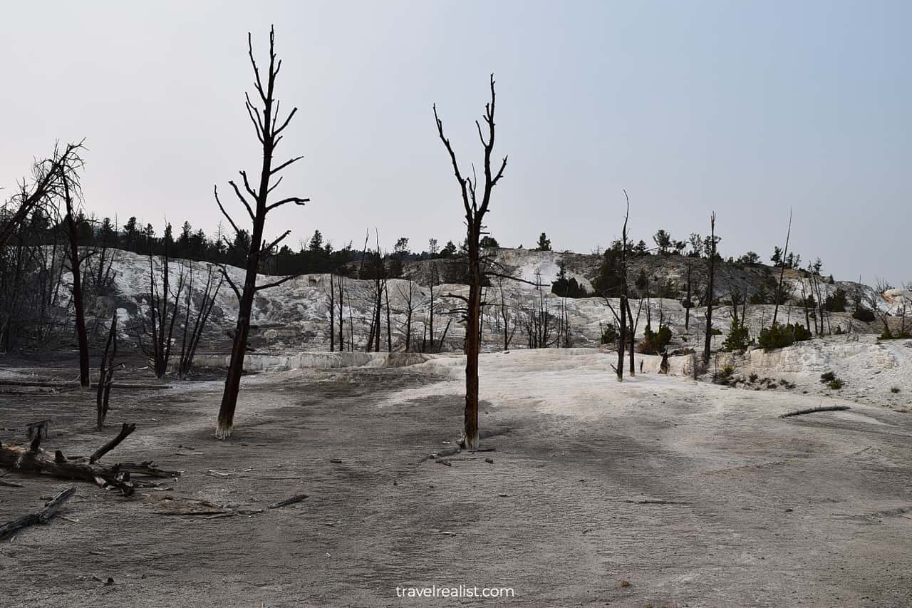 Upper Terraces at Mammoth Hot Springs in Yellowstone National Park, Wyoming, US