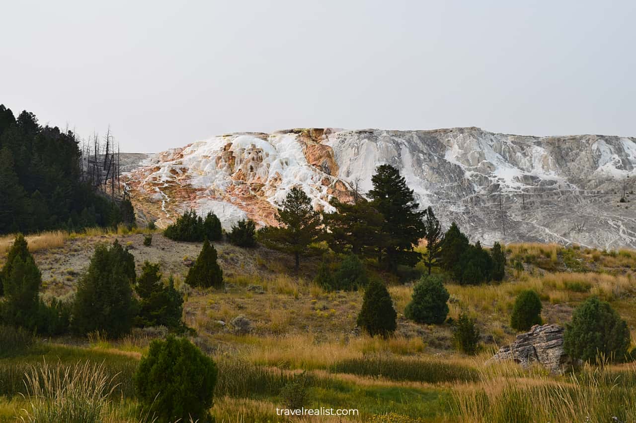 Upper Terraces at Mammoth Hot Springs in Yellowstone National Park, Wyoming, US
