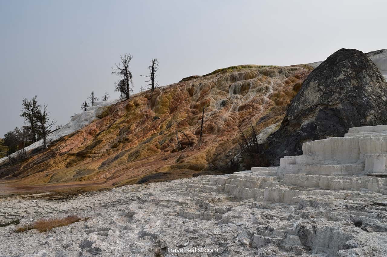 Active and dormant springs at Mammoth Hot Springs in Yellowstone National Park, Wyoming, US