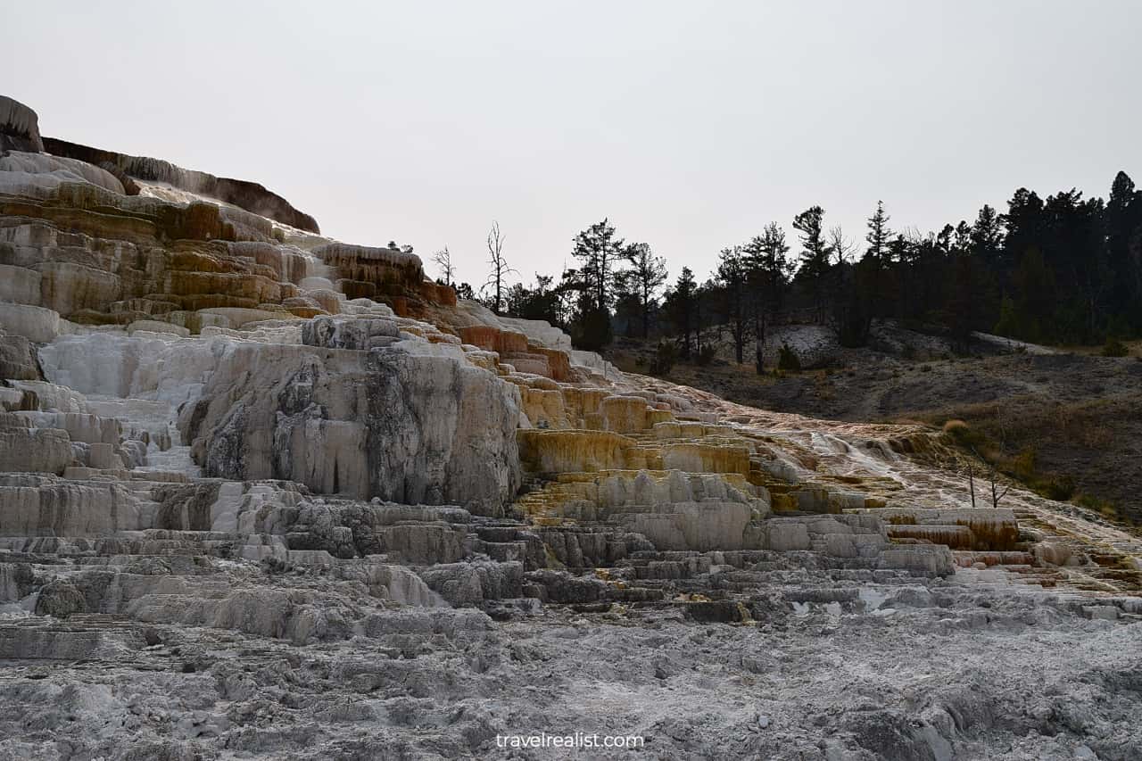 Yellow and White Mammoth Hot Springs in Yellowstone National Park, Wyoming, US